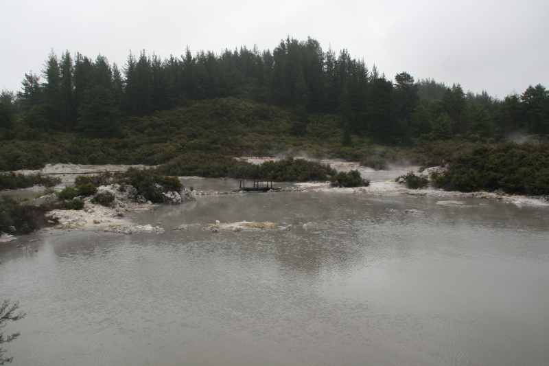 Nieuw-Zeeland 2011 - 0622